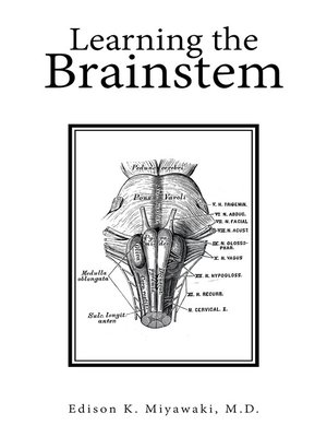 cover image of Learning the Brainstem